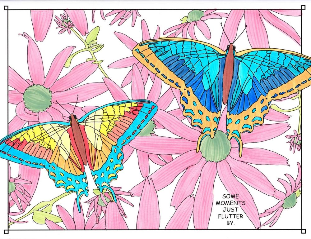 manitoulin coloring book butterflies flowers island ontario canada